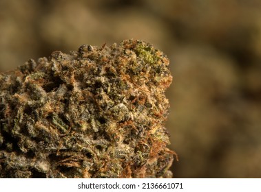 Close Up Macro Marijuana Bud Hybrid Sativa Indica Strain Weed Background