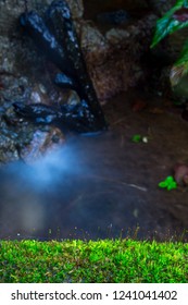 Close up macro Moss on trees, waterfalls and streams.background natural green,