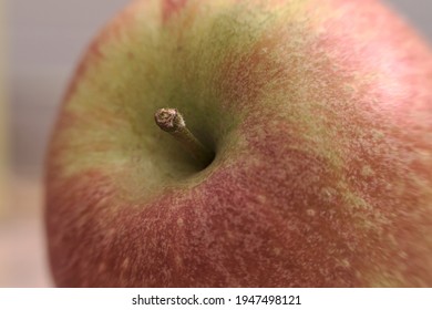 Close Up Macro Of The Pedicel Or Stalk  Of An Apple