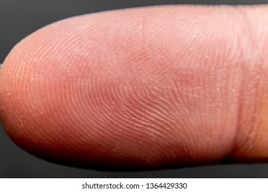 close up macro photo of a finger print of a caucasian man