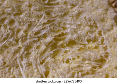 Close up or macro photo of a ginger fruit core or meat. Cut away view of ginger core taken with big macro lens. - Shutterstock ID 2256723493