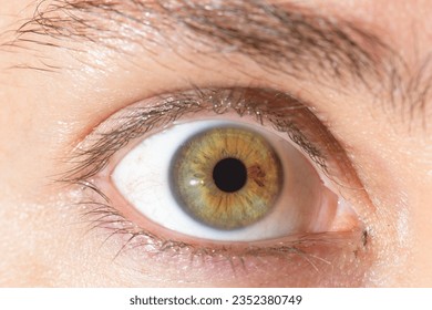 close up macro photo shoot of a human eye - Powered by Shutterstock