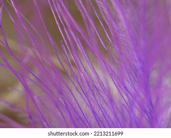 Close Up Macro Photography Of Abstract Photo