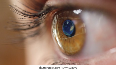 CLOSE UP MACRO: Pretty Brown Female Eye Looking At Map Of Madrid On The Computer Screen. Woman With Brown Eyes And Long Lashes Making Travel Plans. Computer Screen Reflection Of Madrid In Woman's Eye.