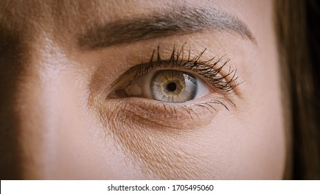 Close Up Macro Shot Of An Eye. Young Beatiful Female With Opened Eye Showing Her Light Blue, Yellow And Brown Color Pigmentation On The Iris. Mascara Is Applied To Eyelashes. Dilating Black Pupil.