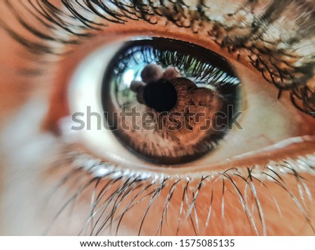 Image, Stock Photo All eyes on… Animal Pet