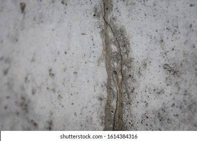 Close Up Macro Shot Of A Leaking Crack In A Basement Wall