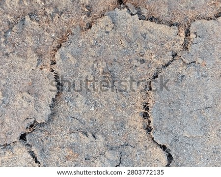 Close up macro texture of dry cracked soil ground with dried roots and grass. Drought, climate change, dry land, earth texture, natural background with grunge pattern.