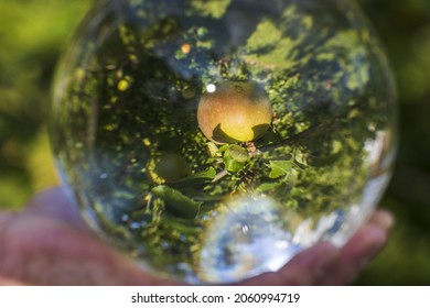 6,211 Crystal apple Images, Stock Photos & Vectors | Shutterstock