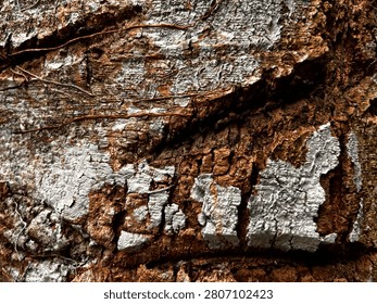 Close up macro view of rugged tree bark with natural brown and silver paint textures