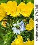 close up of Maiden in the green with a yellow bokeh background, real picture, beautiful colours, save nature, fairytale environment, romantic portrait 