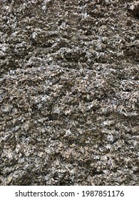 Close Up Of Maize Silage On A Farm In A Silage Clamp, England, United Kingdom