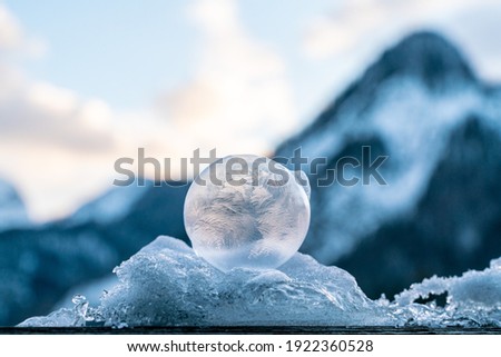 close up makro shot of beautiful frozen bubbles bedded on a pile of white snow and blue ice with a delicate structure of ice flowers back-lit by the rising sun with mountains in the background