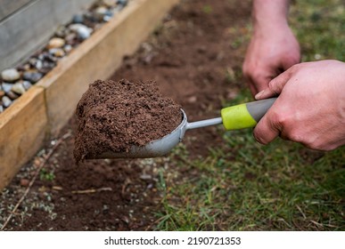Close up of male gardener's hands holding scoop garden tool full of soil, spreading dirt out on grass of a lawn. - Shutterstock ID 2190721353