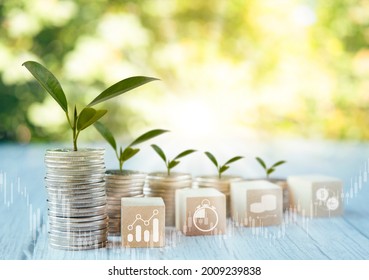 Close up of male hand stacking coins and Trees growing on coin in dark background ,Business Finance and Money, plant growing up on coins and investment budget, saving money investment.concept