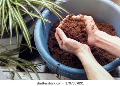 close up male hands holding Coconut coir  blue bucket  - Shutterstock ID 1707859831