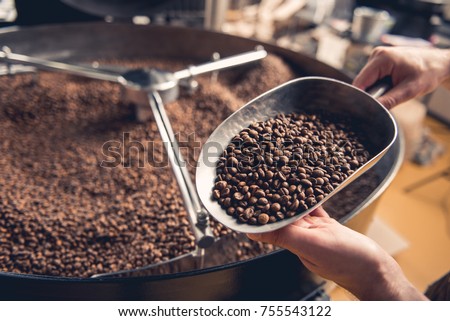 Close up male hands keeping spatula with coffee beans near special equipment. Factory concept