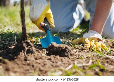 Close up of male hands scooping soil in garden
