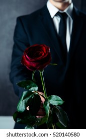 Close Up Of Man In Black Suit Holding Red Rose.