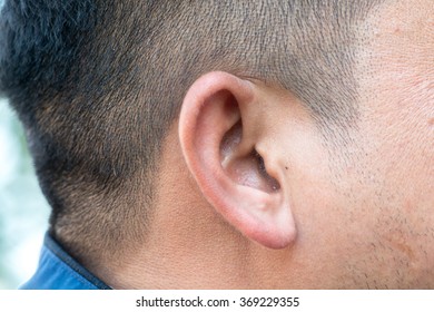 Close Up Of Man Ear