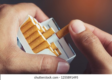 Cigarette Packet Images Stock Photos Vectors Shutterstock