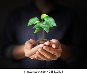 hands holding plant images stock photos vectors shutterstock https www shutterstock com image photo close man hands holding plant 245510515