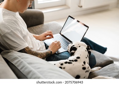 Close Up Of A Man Using Laptop On His Lap While Sitting With His Dog On A Couch At Home