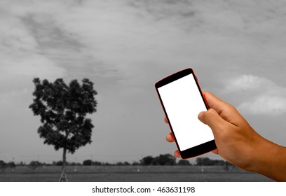 Close Up Of A Man Using Smart Phone With Blank Mobile And Landscape Blur Background.Smart Phone With Blank Screen And Can Be Add Your Texts Or Others On Smart Phone..
