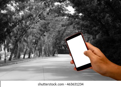 Close Up Of A Man Using Smart Phone With Blank Mobile And Landscape Blur Background.Smart Phone With Blank Screen And Can Be Add Your Texts Or Others On Smart Phone..
