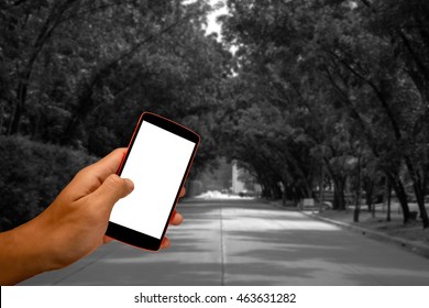 Close Up Of A Man Using Smart Phone With Blank Mobile And Landscape Blur Background.Smart Phone With Blank Screen And Can Be Add Your Texts Or Others On Smart Phone..
