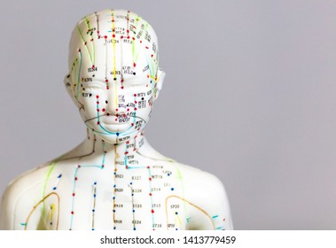 Close up of mannequin with acupuncture meridians