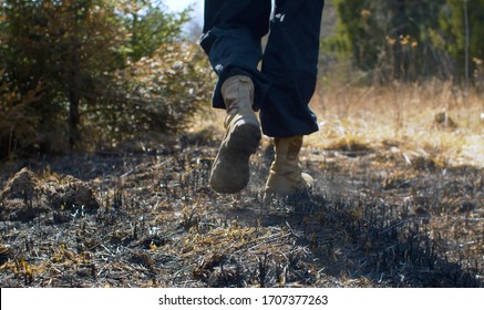 Close Up Man's Feet In Trekking Boots Walking In The Place Of An Extinct Forest Fire. Burned Grass, Ashes Rise From Steps. Early Spring, Sunny Weather.