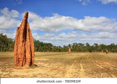 A Close Up Of Many Cathedral Termite Mound