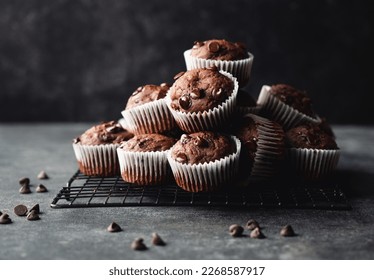 Close up of many chocolate chip zucchini muffins on black background. - Powered by Shutterstock