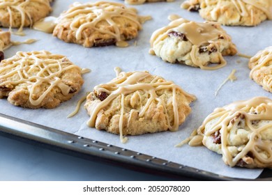 Close Up Of Maple Pecan Vermont Cookies On A Parchment Lined Cookie Sheet, Fresh Out Of The Oven.