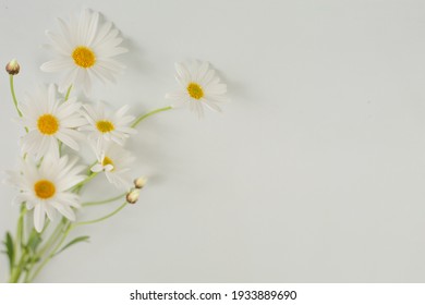 7,396 Margaret Flowers Images, Stock Photos & Vectors | Shutterstock