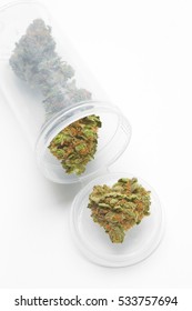 Close up of marijuana nuggets in clear prescription bottle