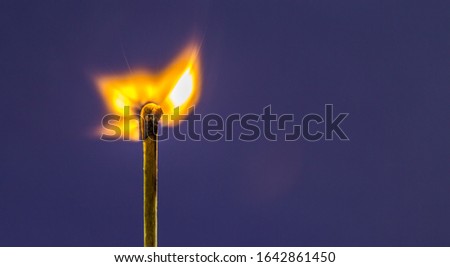 Close up of match with fire