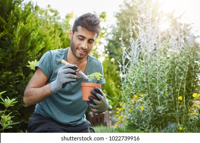 Close up of mature bearded caucasian man in blue t-shirt planting flowers in pot with garden tools,spending peaceful morning in garden hear house.