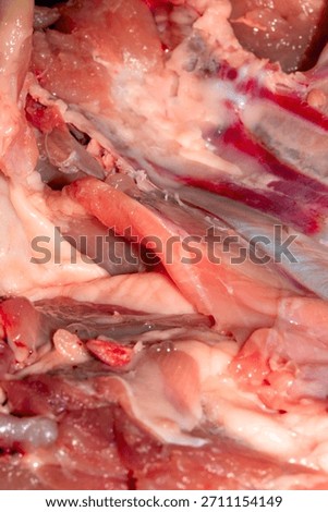 Close up of meat carcass tendons and bones from a chicken that has been carved horror blood red background food waste