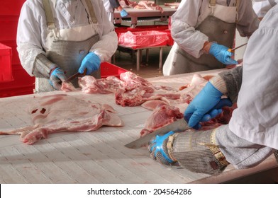 Close Up Of Meat Processing In Food Industry