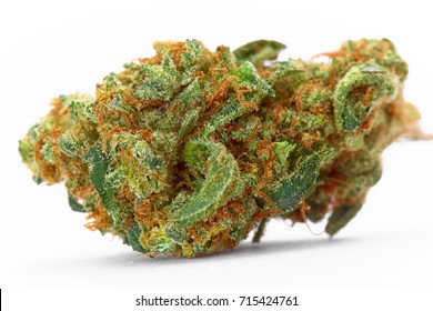 Close up of medical marijuana sativa strain Space Queen isolated on white background
