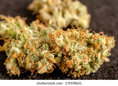 Close up of medicinal marijuana buds on black background