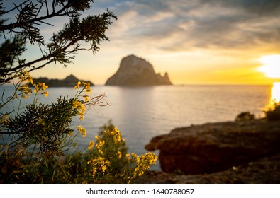 Close up of mediterranean flowers with the famous rock of Es Vedra in background 