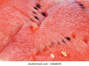 close up melon