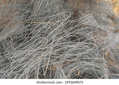 Close Up Of Metal Stainless Rusted Steel Wire Lines On Site. Product In Construction Site. Raw Material Background.