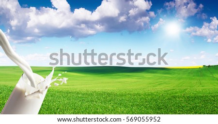 Close up of milk splash on meadow background. White milk pouring into a glass on blue sky backdrop. Beautiful food theme. Free space for text on blue sky background.