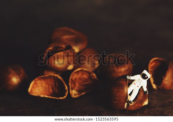 Close miniature people astronaut standing on\
chestnuts over dark\
background.