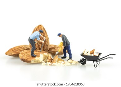 Close up of Miniature worker with almond seeds isolate on white background. - Powered by Shutterstock