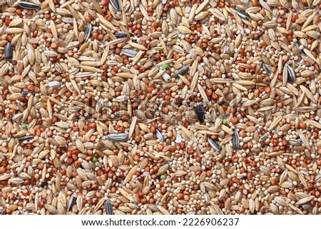 Close up of mixed bird seed